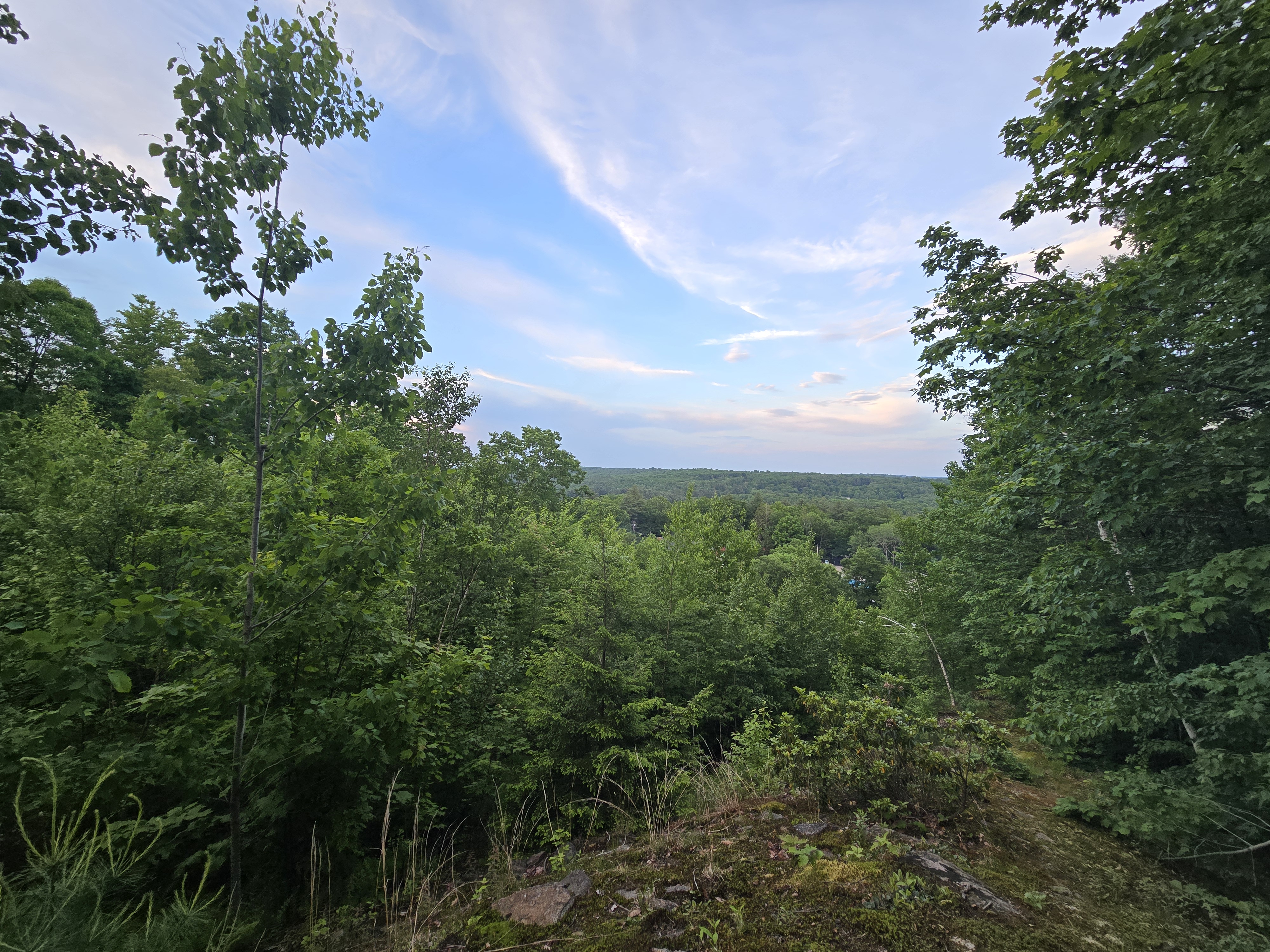Wooded campground grounds in Southwick